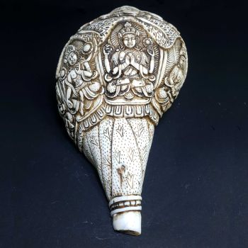 Tibetan Conch Shell with Manjushree, Green and White Tara, Chenrezig and Aparmita Hand Carved 