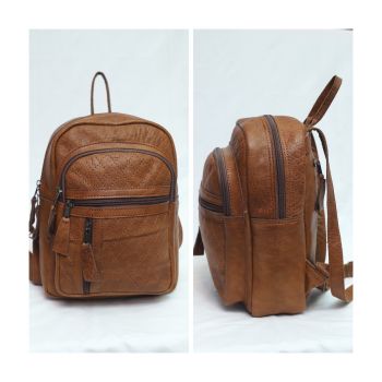 Small and Comfortable Attractive Brown Leather Backpack 