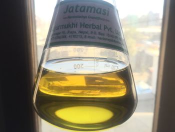 100% Pure Natural Jatamansi Spikenard Essential Oil