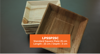 Standard Square Plate | 25 cm Length and Breadth | Areca Nut Palm Leaves | Light weighted | Durable | Bio-degradable | Disposable Plate | Fungus Proof | Portable