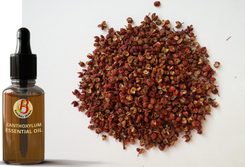 100% Natural & Pure Zanthoxylum Sichuan Pepper Timur Essential Oil
