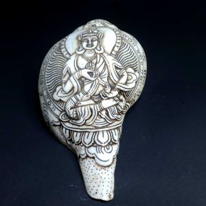 Tibetan Conch Shell with Vajrasattva Hand Carved 