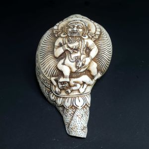 Tibetan Conch Shell with Black Jambala Hand Carved 