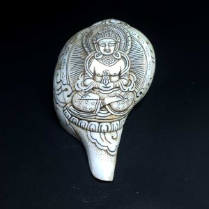 Tibetan Conch Shell with Aparmita Amitayus Hand Carved 