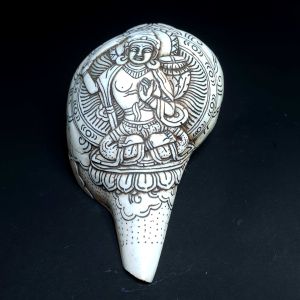 Tibetan Conch Shell with Manjushree Hand Carved 