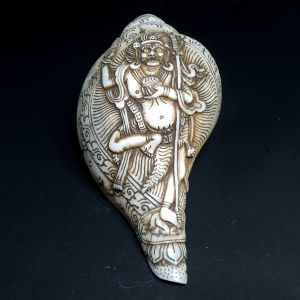 Tibetan Conch Shell with Vajravarahi Hand Carved 