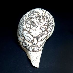 Tibetan Conch Shell with Ganesh Hand Carved 