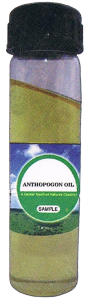 100% Natural and Pure Herbal Anthopogon Oil (Essential Oil)