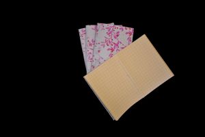 Lokta paper-Notebook- 5 sets
