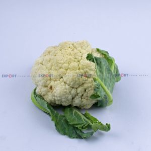 High Quality Export Level Fresh Organic Cauliflower