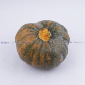 High Quality Export Level Fresh Organic Pumpkin