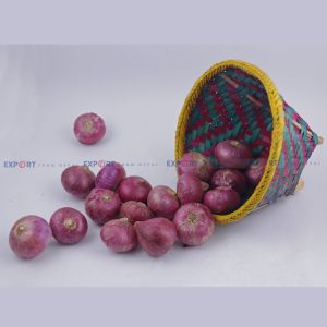 High Quality Export Level Fresh Organic Onion