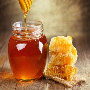 100% Pure Natural Wild Honey